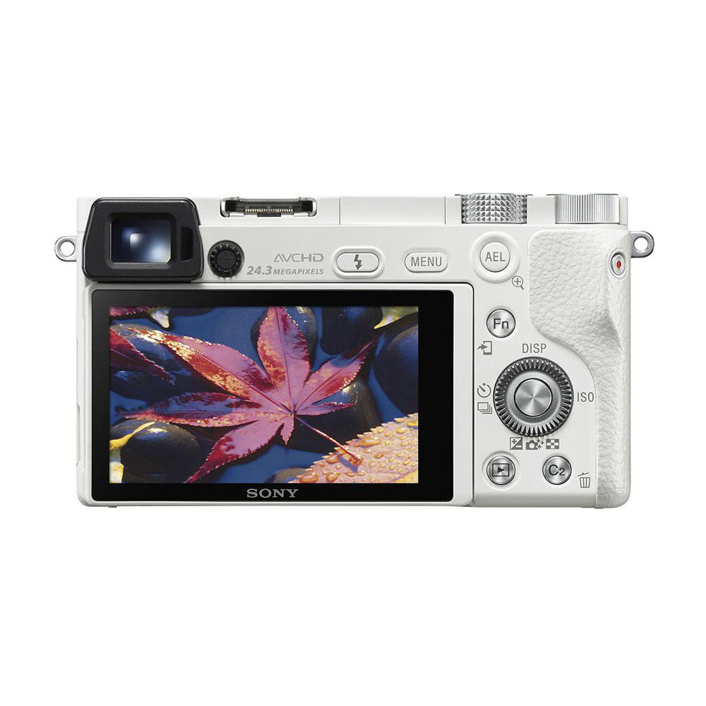 High Quality Camera RT300S Best Pixels